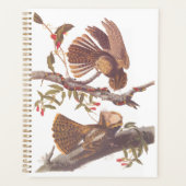 Chuck Will's weduwe Nightjar met Coral Snake Planner (Voorkant)