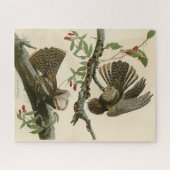 Chuck-will's Widow - Audubon's Birds of America Legpuzzel (Horizontaal)
