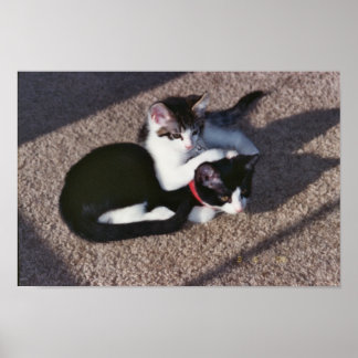 Chuda en Sami Poster