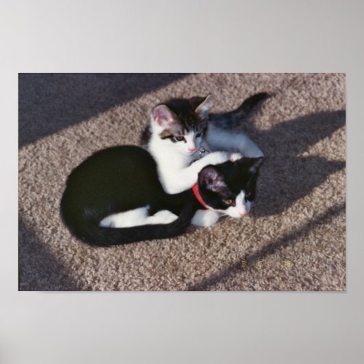 Chuda en Sami Poster (Voorkant)