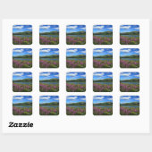 Chugach Mountains - Envelope Stickers (Vel)
