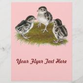 Chukar Partridge Chicken Flyer (Voorkant)