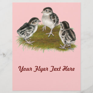 Chukar Partridge Chicken Flyer