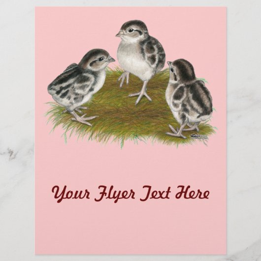 Chukar Partridge Chicken Flyer (Voorkant)