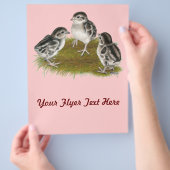 Chukar Partridge Chicken Flyer (Hand)