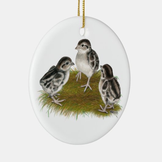 Chukar Partridge Chicken Keramisch Ornament (Rechts)