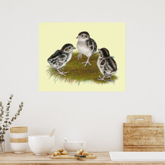 Chukar Partridge Chicken Poster (Keuken)