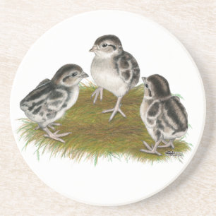 Chukar Partridge Chicken Zandsteen Onderzetter