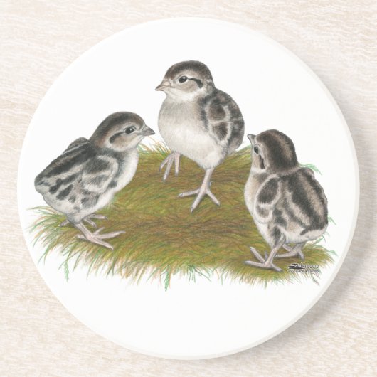 Chukar Partridge Chicken Zandsteen Onderzetter (Voorkant)