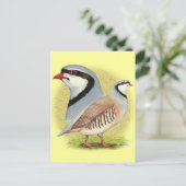 Chukar Partridge Combo Briefkaart (Staand voorkant)