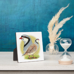 Chukar Partridge Combo Fotoplaat