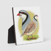 Chukar Partridge Combo Fotoplaat (Voorkant)