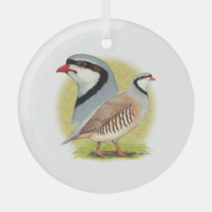 Chukar Partridge Combo Glas Ornament