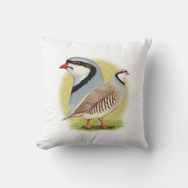 Chukar Partridge Combo Kussen (Voorkant)