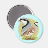 Chukar Partridge Combo Magneet (Voorkant / Achterkant)