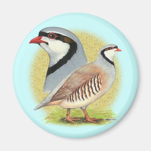 Chukar Partridge Combo Magneet (Voorkant)