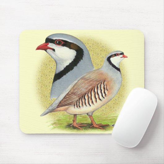 Chukar Partridge Combo Muismat (Met muis)