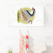 Chukar Partridge Combo Spandoek (Insitu)