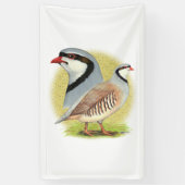 Chukar Partridge Combo Spandoek (Verticaal)