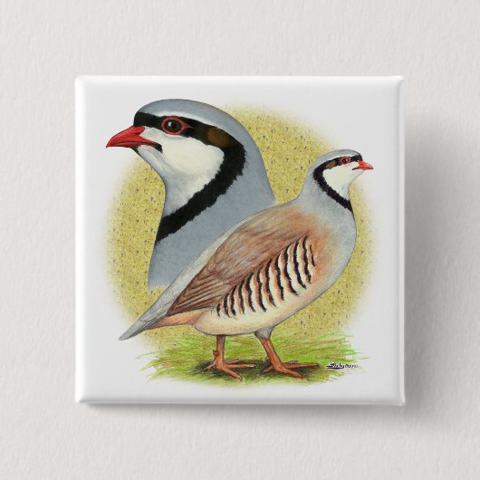 Chukar Partridge Combo Vierkante Button 5,1 Cm (Voorkant)