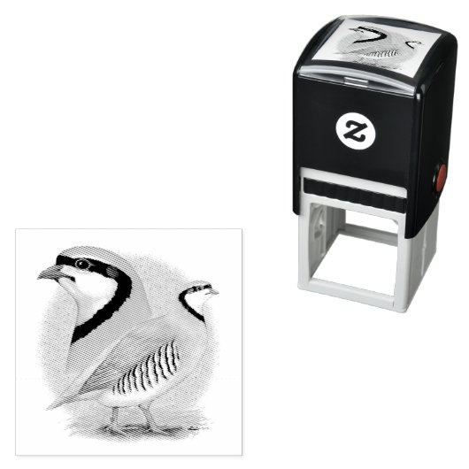 Chukar Partridge Combo Zelfinktende Stempel (In situ)