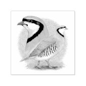 Chukar Partridge Combo Zelfinktende Stempel (Design)