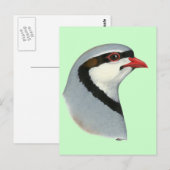 Chukar:  Partridge Head Briefkaart (Voorkant / Achterkant)