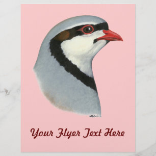 Chukar: Partridge Head Flyer