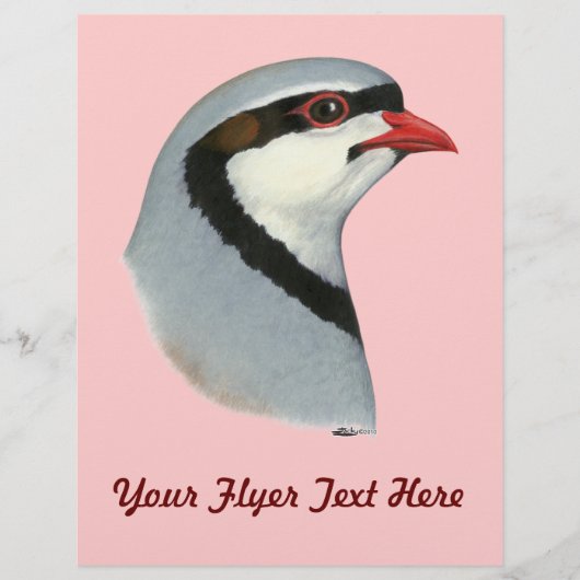 Chukar: Partridge Head Flyer (Voorkant)