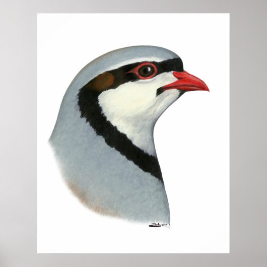 Chukar: Partridge Head Poster (Voorkant)