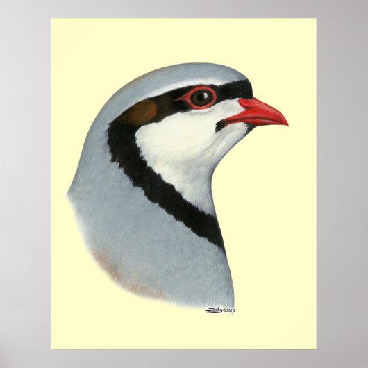 Chukar: Partridge Head Poster (Voorkant)