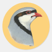 Chukar: Partridge Head Ronde Sticker (Voorkant)