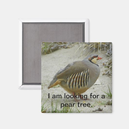 Chukar Partridge jachtsport Magneet (Voorkant / Achterkant)