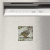 Chukar Partridge jachtsport Magneet (Insitu (Vaatwasser))