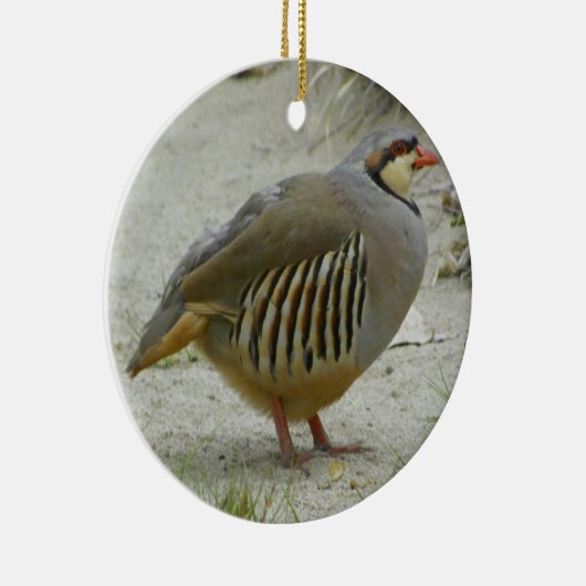 Chukar Partridge Keramisch Ornament (Rechts)