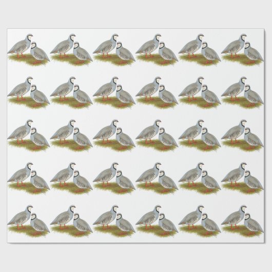 Chukar Partridge Pair Cadeaupapier (Vlak)