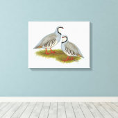 Chukar Partridge Pair Canvas Afdruk (Insitu (Houten vloer))