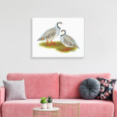 Chukar Partridge Pair Canvas Afdruk (Insitu (Woonkamer))