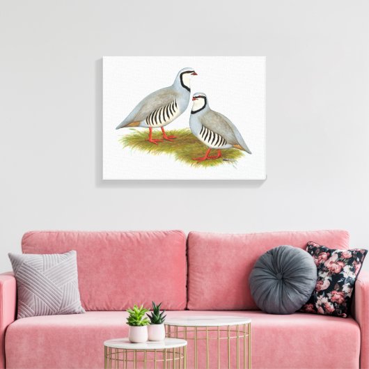 Chukar Partridge Pair Canvas Afdruk (Insitu (Woonkamer))