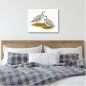Chukar Partridge Pair Canvas Afdruk (Insitu (Slaapkamer))