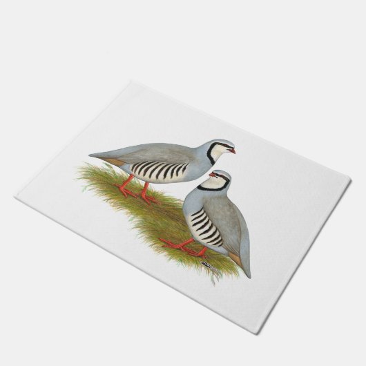 Chukar Partridge Pair Deurmat (Schuin)