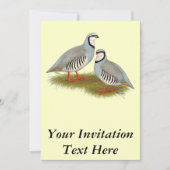 Chukar Partridge Pair Kaart (Voorkant)