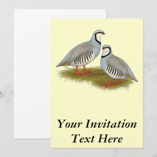 Chukar Partridge Pair Kaart (Voorkant / Achterkant)