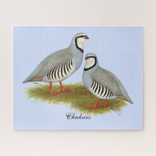 Chukar Partridge Pair Legpuzzel (Horizontaal)