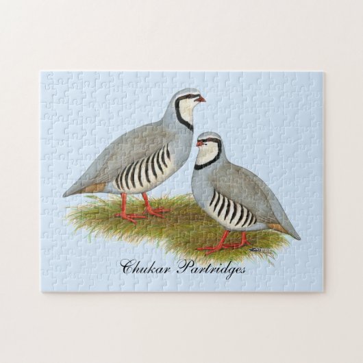 Chukar Partridge Pair Legpuzzel (Horizontaal)