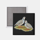 Chukar Partridge Pair Magneet (Voorkant / Achterkant)