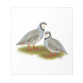 Chukar Partridge Pair Notitieblok (Voorkant)