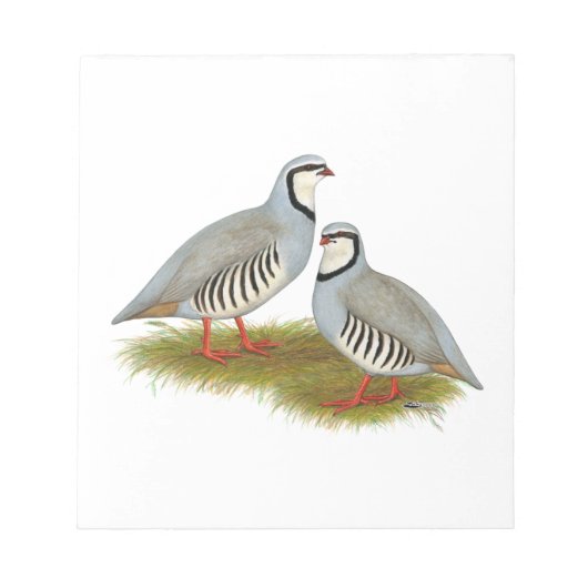 Chukar Partridge Pair Notitieblok (Voorkant)