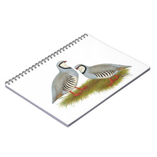 Chukar Partridge Pair Notitieboek