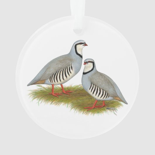 Chukar Partridge Pair Ornament (achterkant)